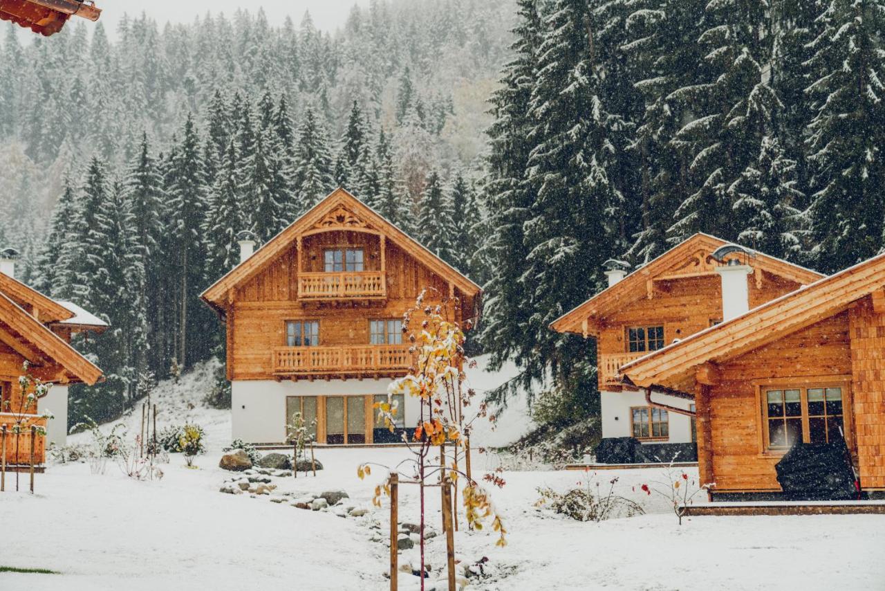 Luxury Chalets Gradenbach Near Schladming Гаус-ім-Енншталь Екстер'єр фото