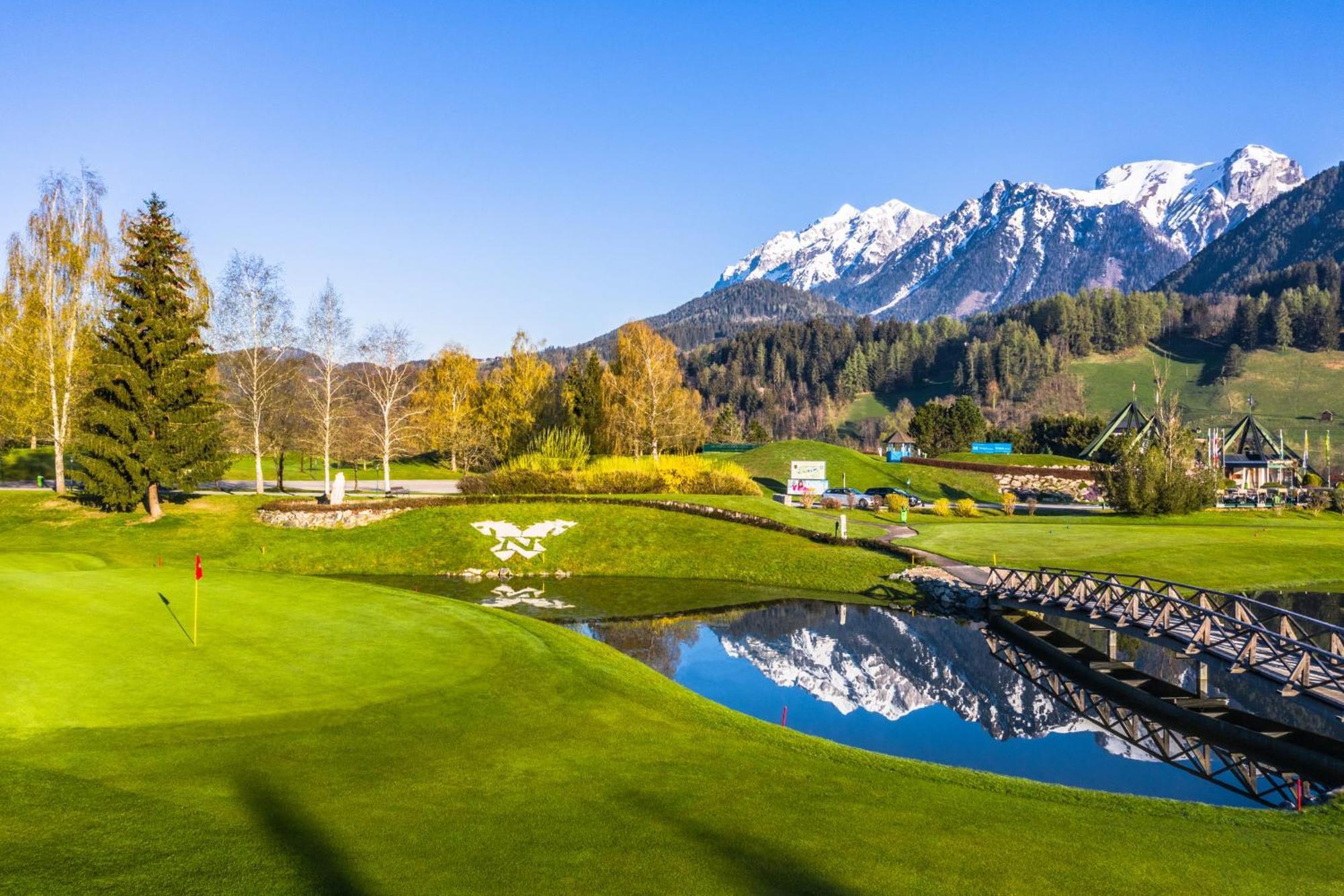 Luxury Chalets Gradenbach Near Schladming Гаус-ім-Енншталь Екстер'єр фото