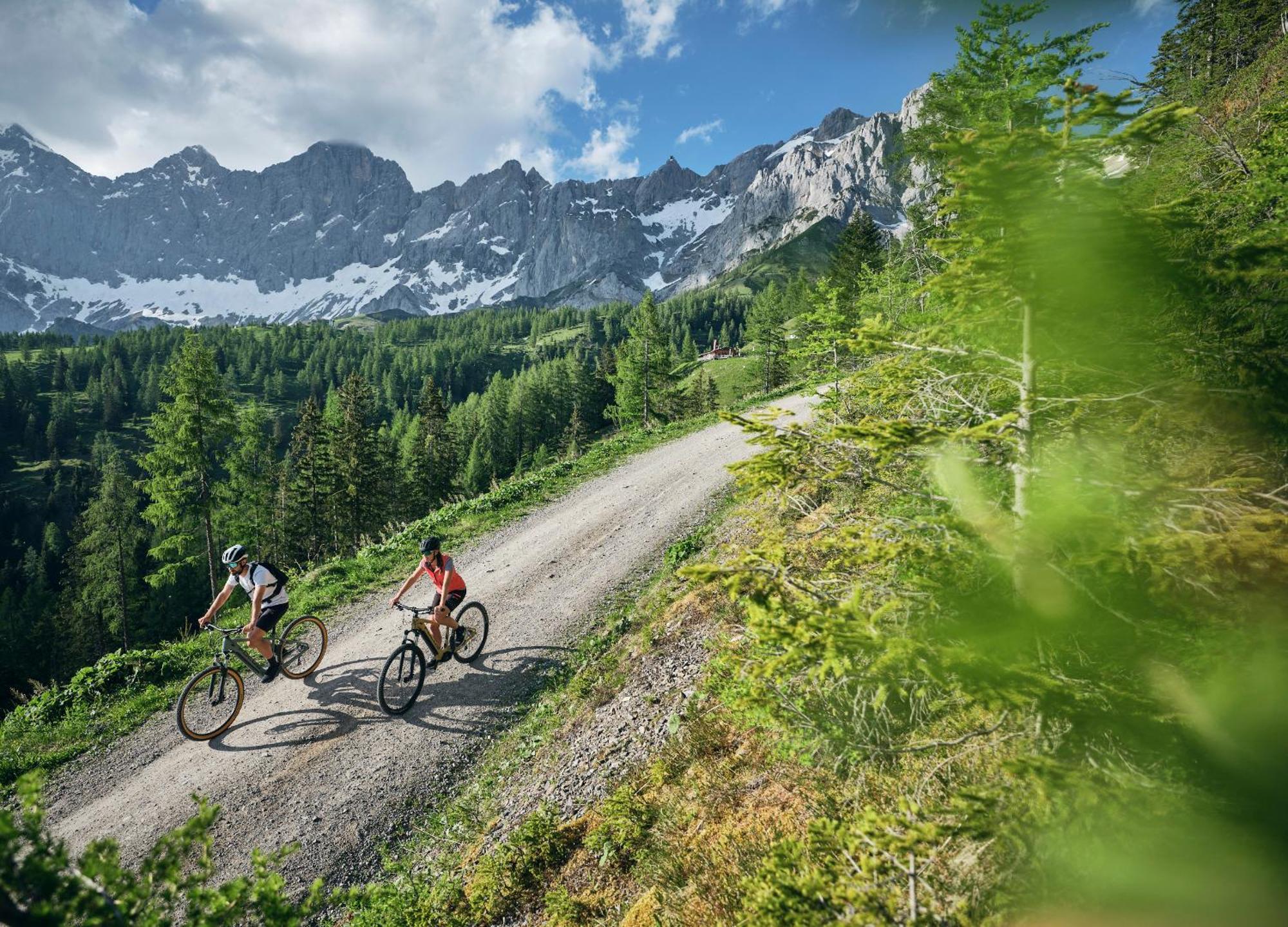 Luxury Chalets Gradenbach Near Schladming Гаус-ім-Енншталь Екстер'єр фото