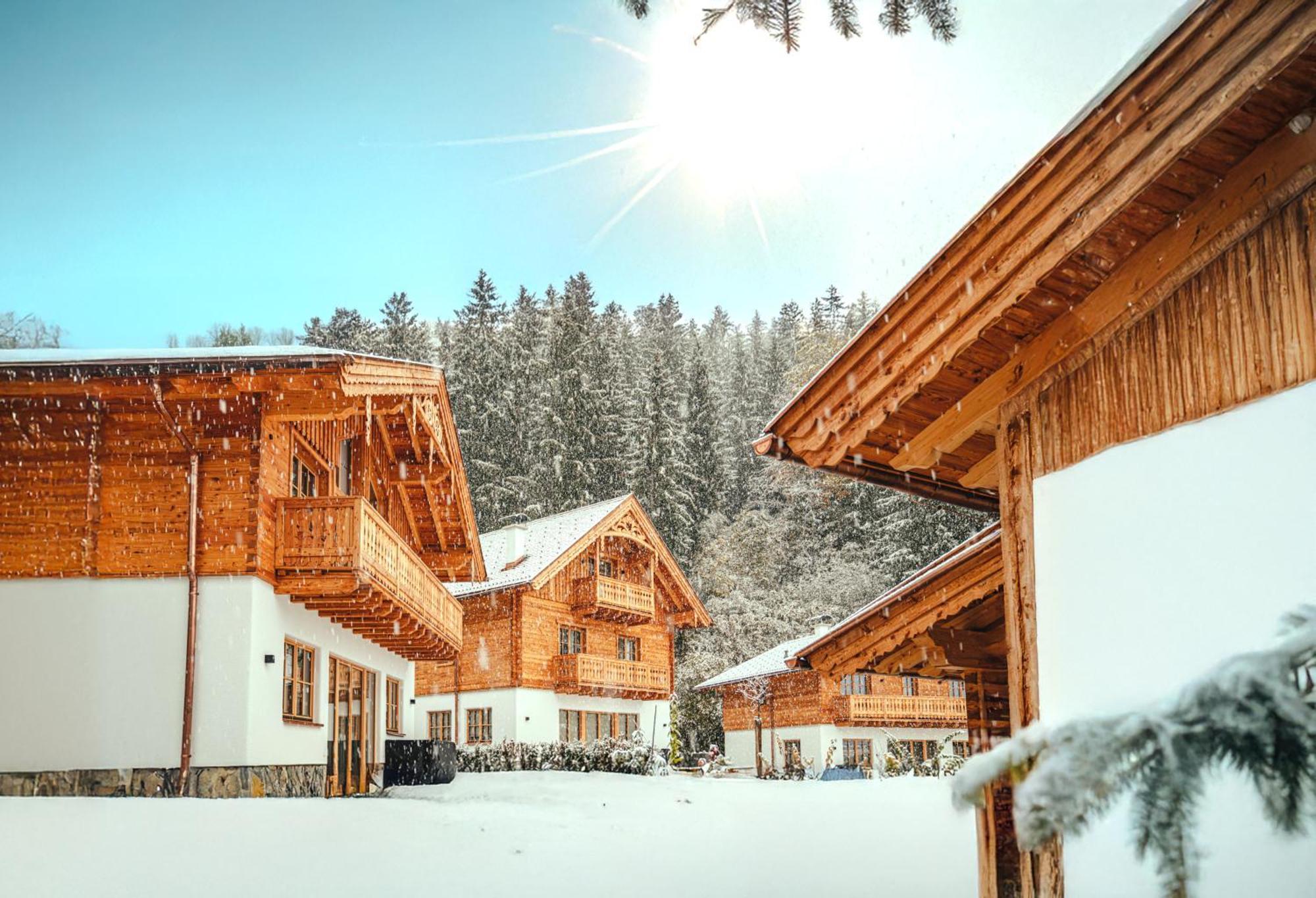 Luxury Chalets Gradenbach Near Schladming Гаус-ім-Енншталь Екстер'єр фото